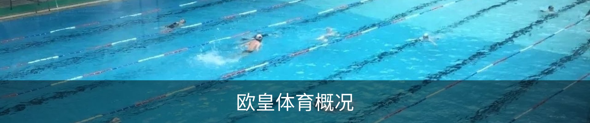 欧皇体育概况